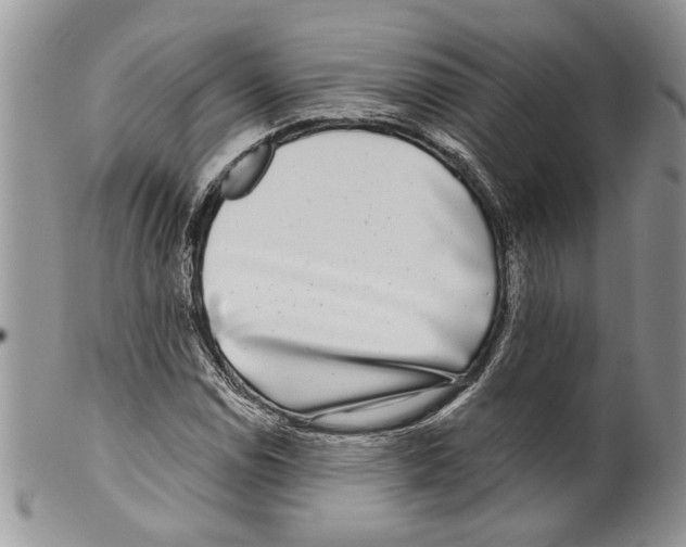 X0000099541114200806131143