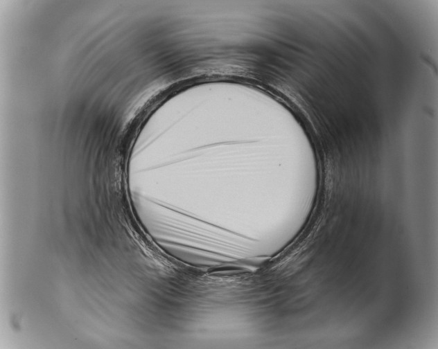 X0000099541115200806131143