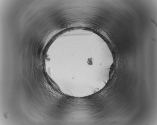 X0000099541116200806131143