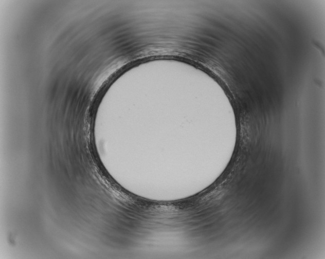 X0000099541119200806131143