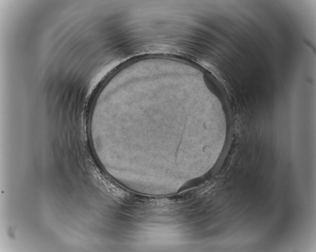 X0000099541120200806131143