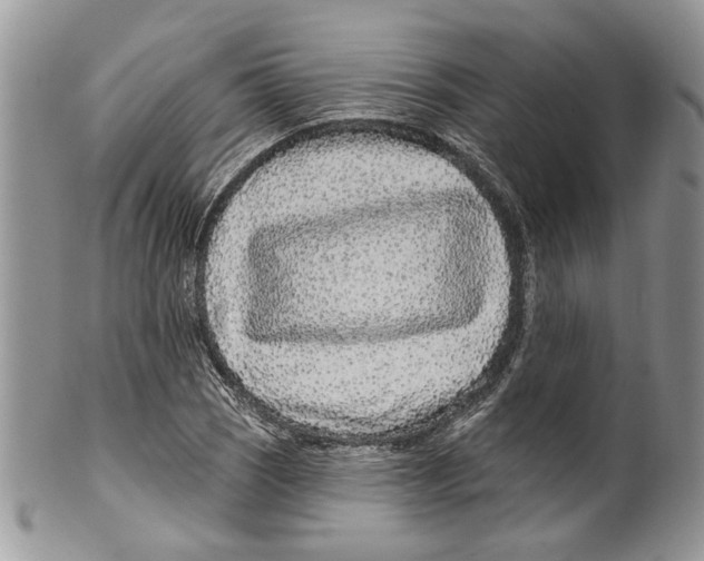 X0000099541121200806131143