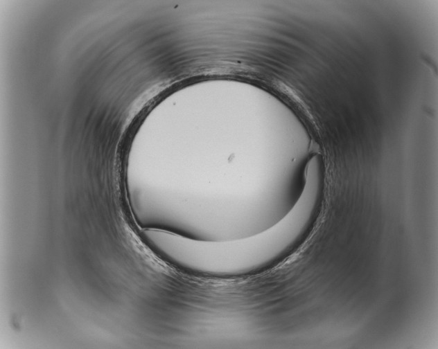 X0000099541122200806131143