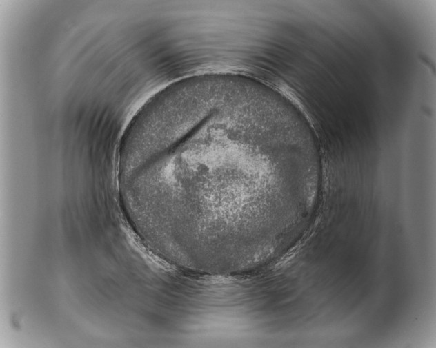 X0000099541124200806131143