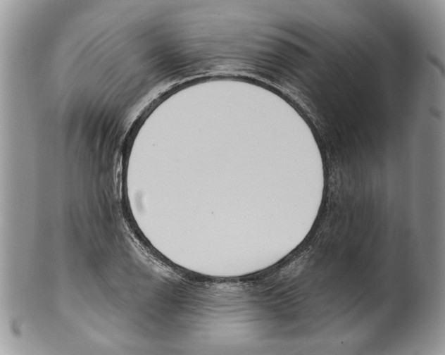 X0000099541126200806131143