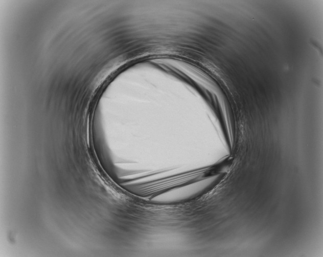 X0000099541127200806131143