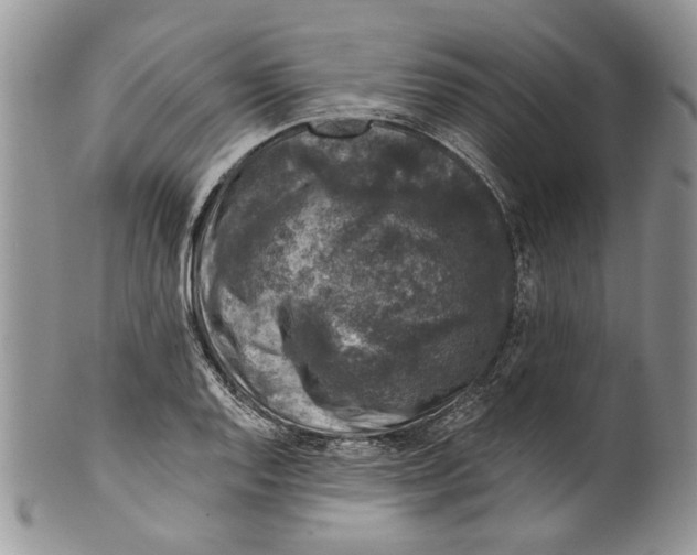 X0000099541128200806131143