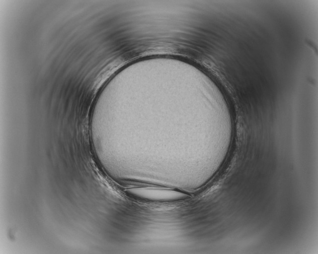 X0000099541129200806131143