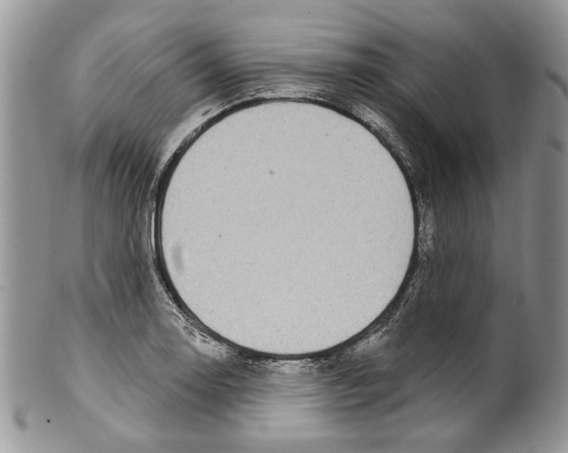 X0000099541130200806131143