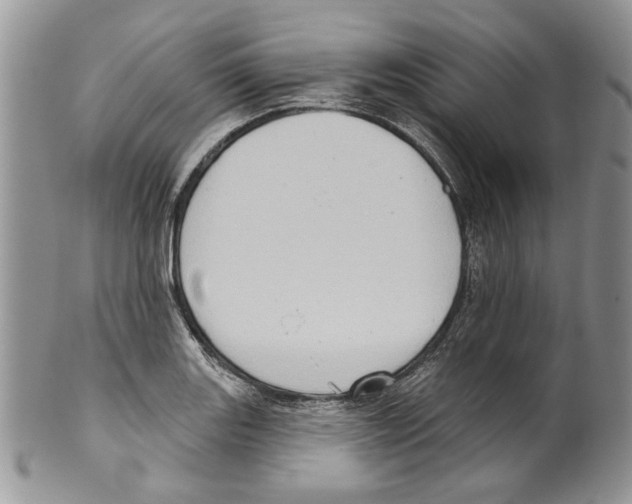 X0000099541131200806131143