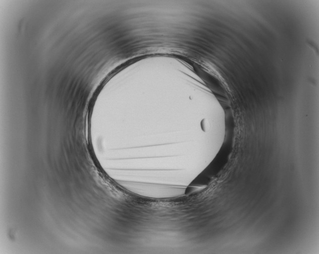 X0000099541132200806131143