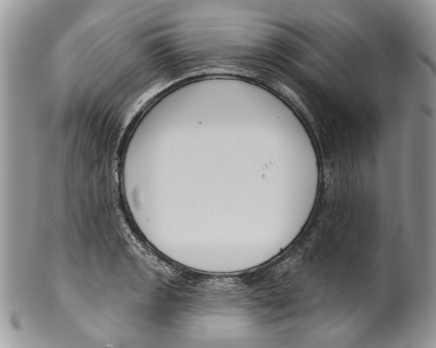 X0000099541133200806131143