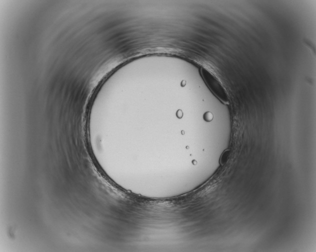 X0000099541135200806131143