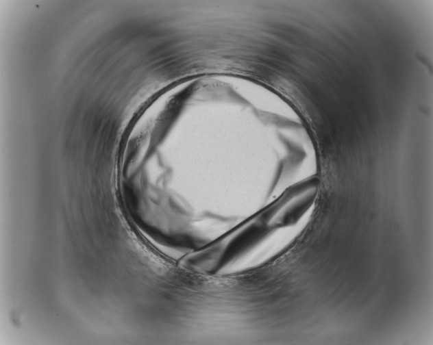 X0000099541136200806131143