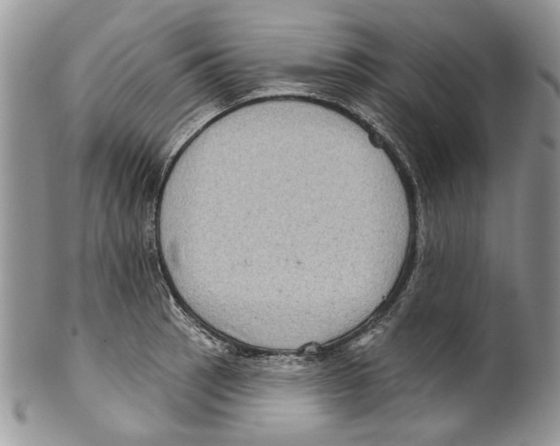 X0000099541137200806131143