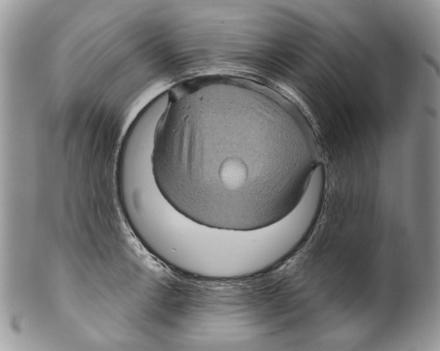 X0000099541138200806131143