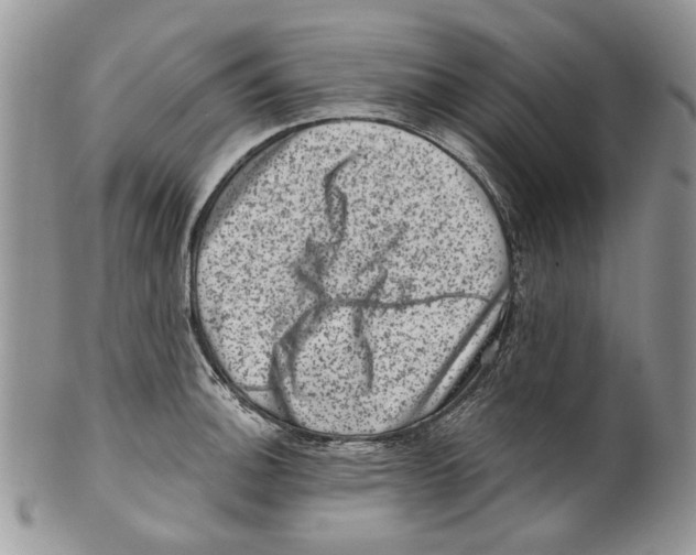 X0000099541140200806131143