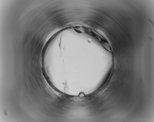 X0000099541141200806131143