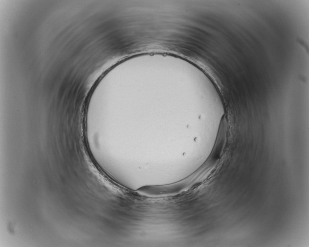 X0000099541142200806131143