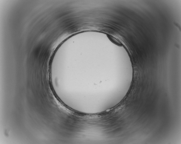 X0000099541143200806131143