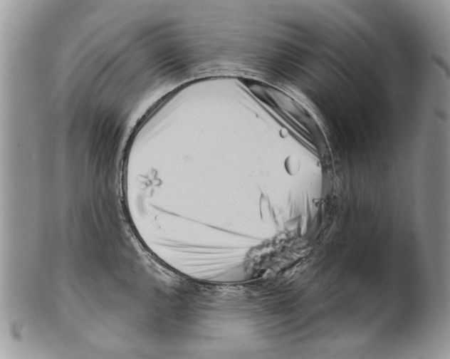 X0000099541144200806131143