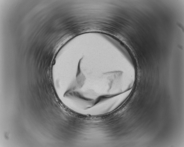 X0000099541145200806131143