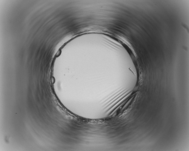 X0000099541146200806131143