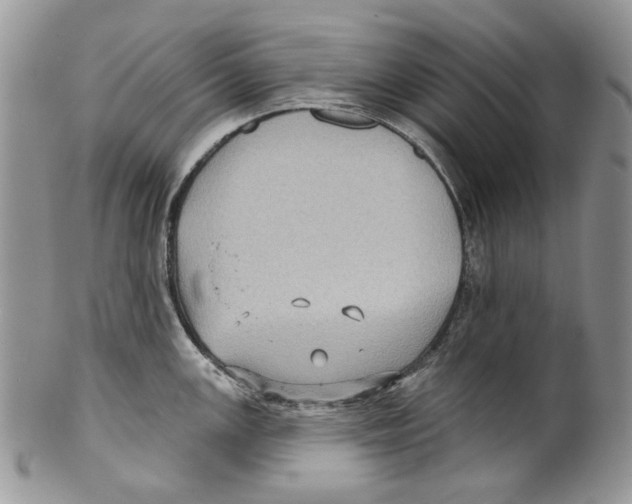 X0000099541147200806131143