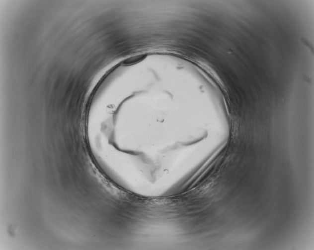 X0000099541148200806131143