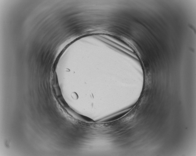 X0000099541149200806131143