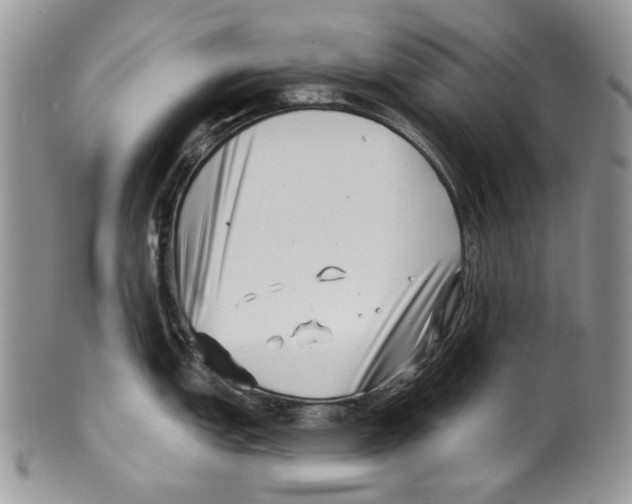 X0000099541151200806131143