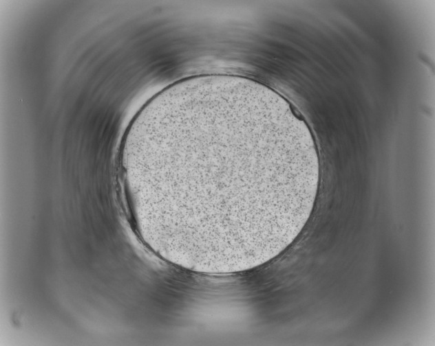 X0000099541152200806131143