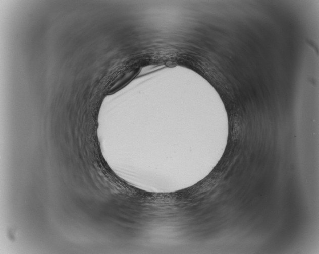 X0000099541153200806131143