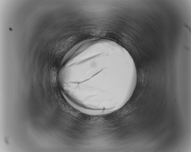 X0000099541154200806131143