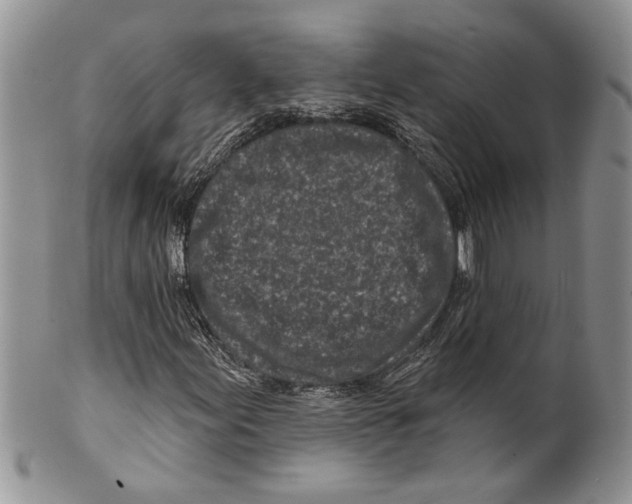 X0000099541155200806131143