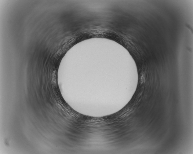 X0000099541156200806131143