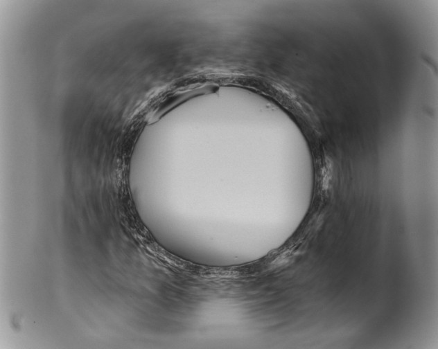 X0000099541157200806131143