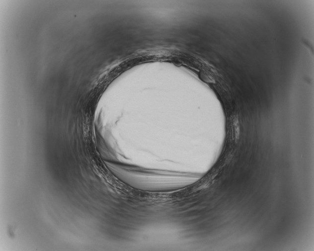 X0000099541158200806131143