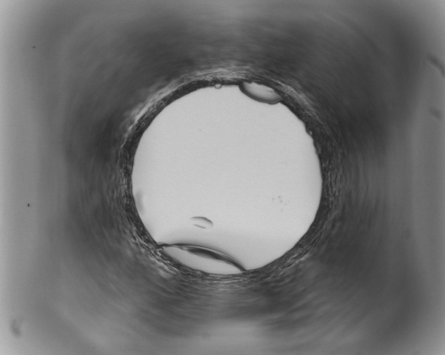 X0000099541160200806131143