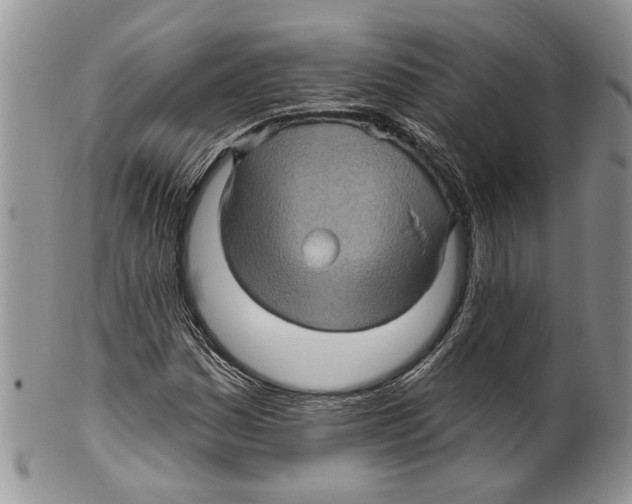 X0000099541161200806131143