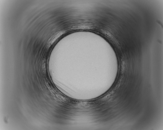 X0000099541162200806131143