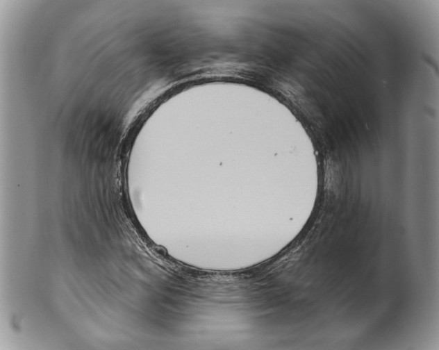 X0000099541164200806131143