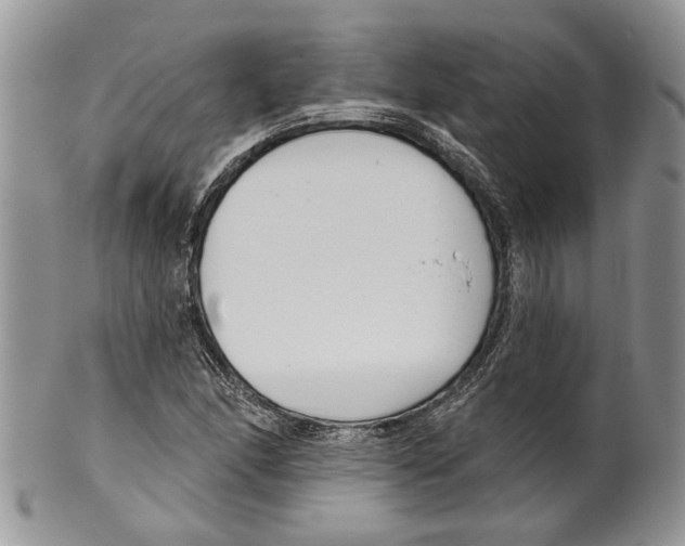 X0000099541166200806131143