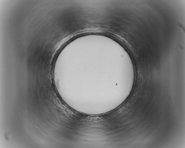 X0000099541168200806131143