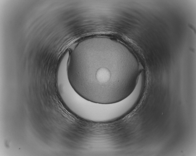 X0000099541169200806131143