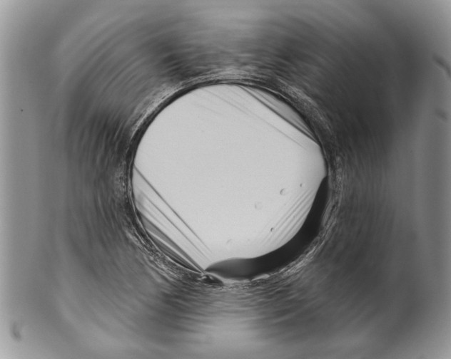 X0000099541170200806131143