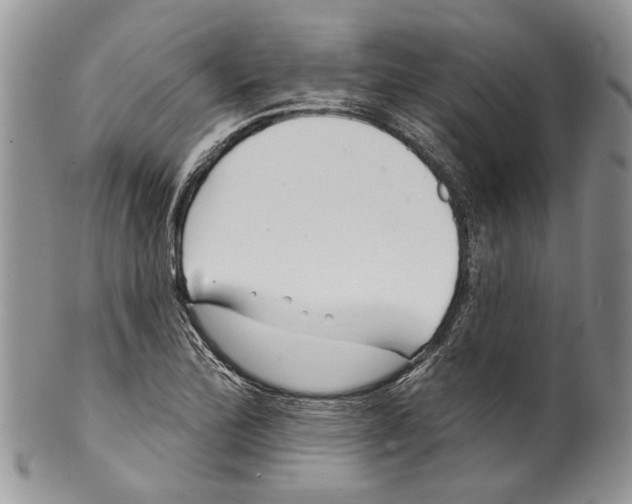 X0000099541172200806131142