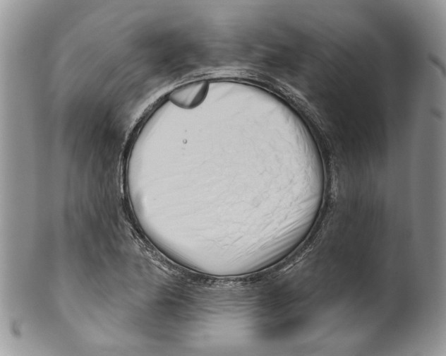 X0000099541174200806131142