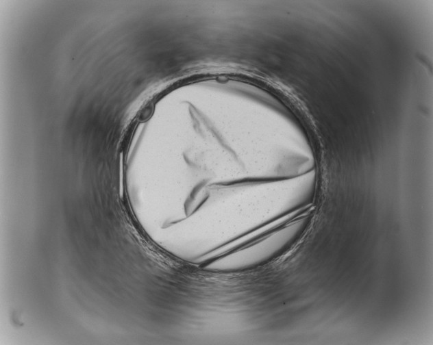 X0000099541175200806131142