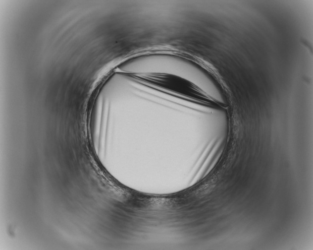 X0000099541176200806131142